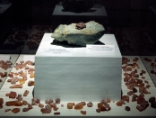 Bursztyn zmieniony eksplozją meteorytu, fot. A. Grzybowski